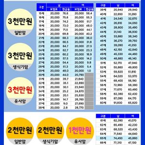유사암 진단비 3000 만원