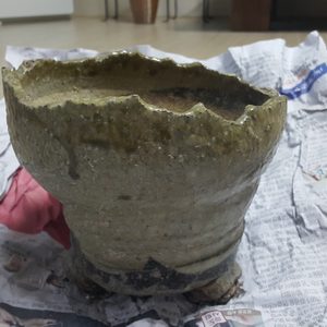 언발란스한 충남부여 다육 야생화 화분