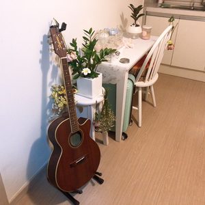 세고비아 기타 FMC-20NS 팝니다 (가방 없음)