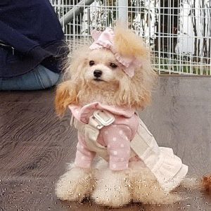 도트프릴카라티셔츠강아지옷
