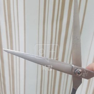 비요세까이 컬러핸들 민가위 검정 팝니다.애견미용