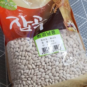 흰콩