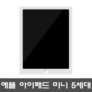 아이패드 미니 iPad mini 5세대 WIFI 64GB 실버