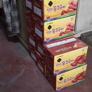 오늘의 매입 물량 입니다