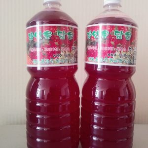 새콤달콤 오미자청 1.8L 판매