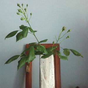 일제 수공예 도자기 화병 (인테리어 소품,카페 인테리어)