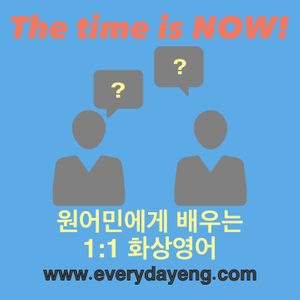 1:1 화상영어