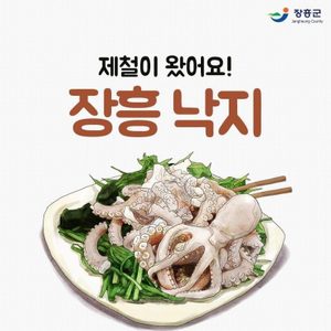 낙지