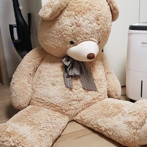 트롬대형곰인형(170cm)