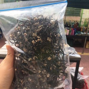 고사리 곤드레 말린거 팝니당