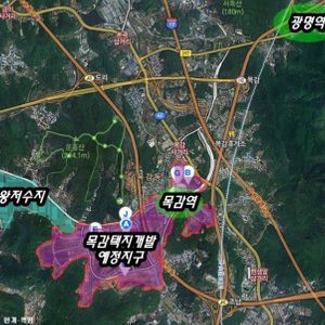 (개인)경기도 시흥 조남동 임야 매매합니다