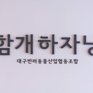 함개하자냥 대구 달서구 애견카페&애견미용&애견수제간식