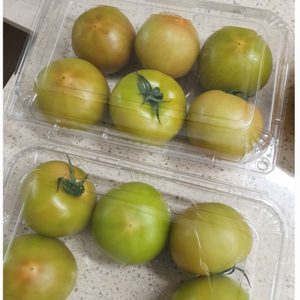 스테비아토망고/알밤누드밤