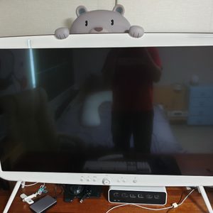 LG 루키TV 48인치 팝니다