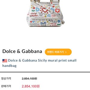 돌체앤가바나 숄더백 판매합니나 (정품)