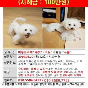 우리 구름이를 찾을 수 있게 도와주세요!