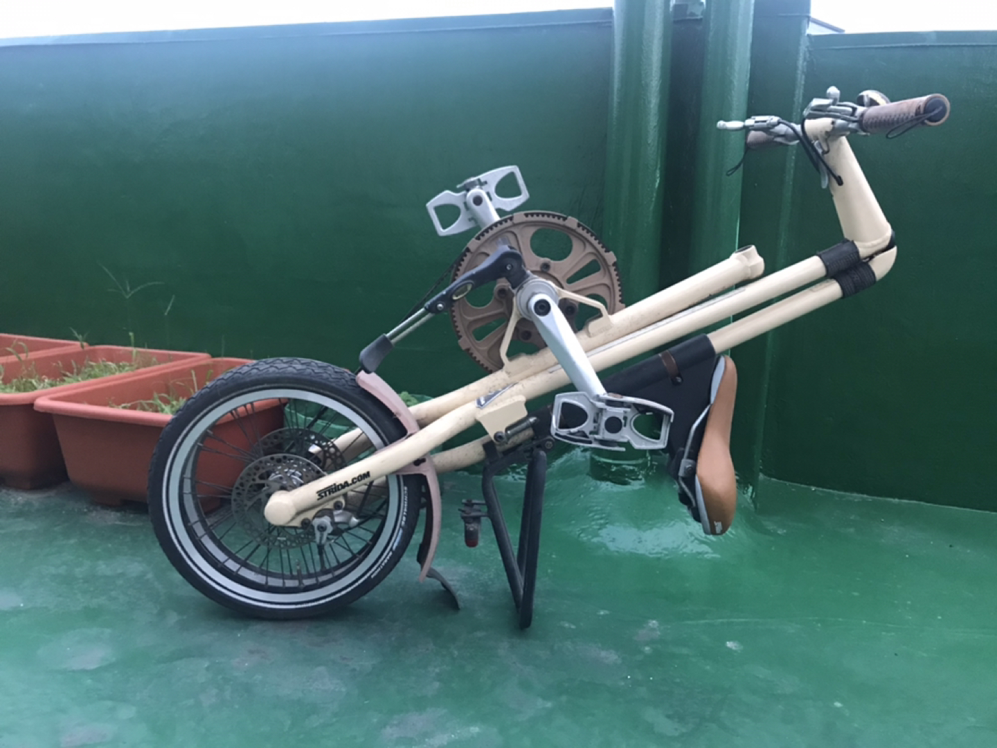 스트라이다 자전거 가격