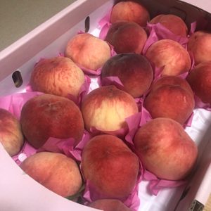 청도복숭아, 털복숭아, 딱딱한 복숭아