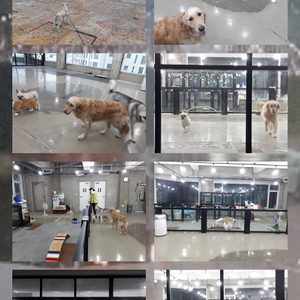 (주)스피독 개놀자 (민락수영구)