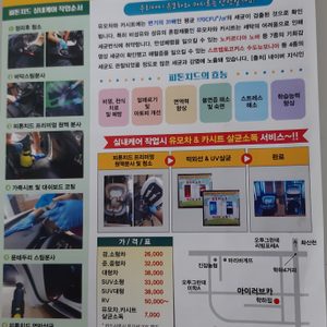 피톤치드 실내세차