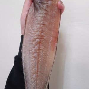 서대