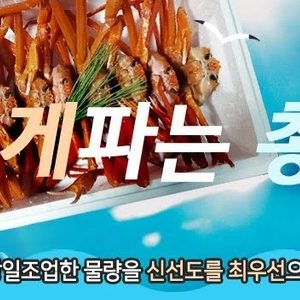 구룡포 홍게10마리(350g-450g)