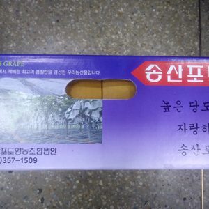 송산포도3kg