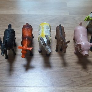동물모형