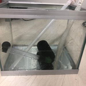 완전 잘보이는 어항