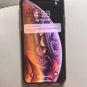 아이폰Xs 골드 64기가 S급