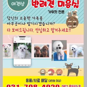 안녕하세요 멋내는애견입니다