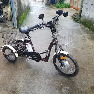전기세발자전거
