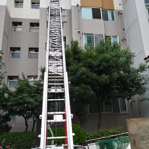 윤사다리
