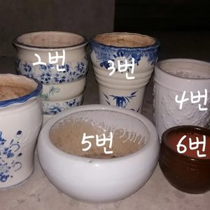 여러가지 화분 팝니다