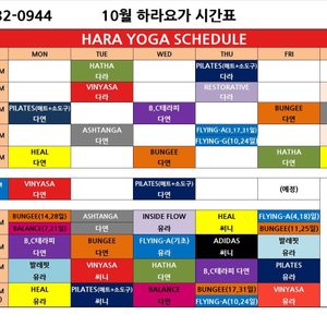 하라요가원 5개월(주6일)요가 회원권 11월6일~ 플라잉 번지요가 포함