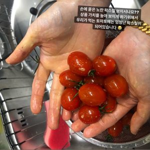 암웨이 전제품 (회원가)