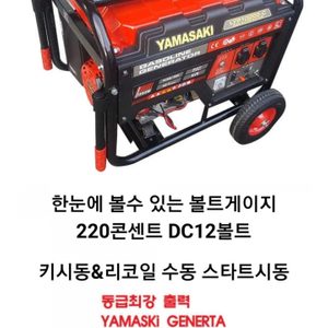 야마사키10K발전기 LYP 10000-C