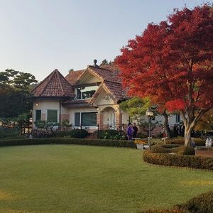 부동산 배우시면서 가족같은 분위기로 같이 일해요~