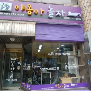 야옹아놀자광안점