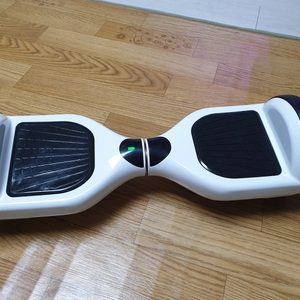 전동휠