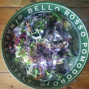 2020년 새해 일곱가지 신선한 야채의 무한 Salad Bar Open