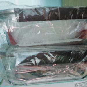 LG DIOS LG전자 정품 디오스 김치톡톡 김치통 유리김치통 2통세트 미개봉새상품