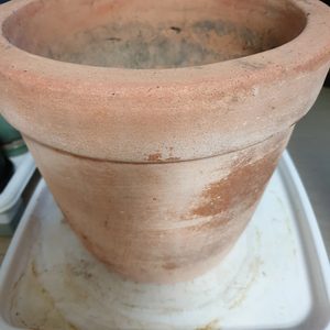 토분과토분항아리/화초받침대까지드려요