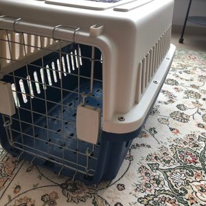 반려동물 켄넬 행복켄넬250