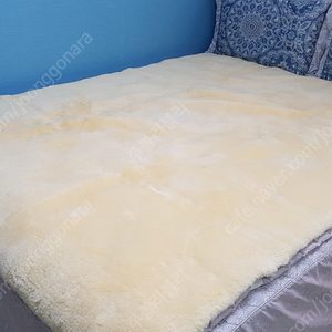 호주 양모 카페트(실사용0번) 에눌안되요