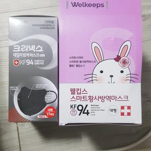KF94 대형 마스크