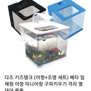 구피 미니어항+구피+사료
