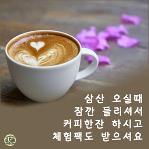 튼튼영어 울산삼산 교육본부 들리시면 체험팩증정