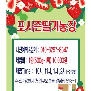 포시즌딸기농장에딸기따러오세요~