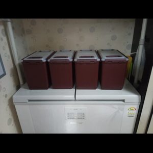🎀🙋 딤채 김치통각한통씩19000원입니다~ 딤채 김치통 딤채 김치통 딤채 김치통 딤채 김치통🎀🙋